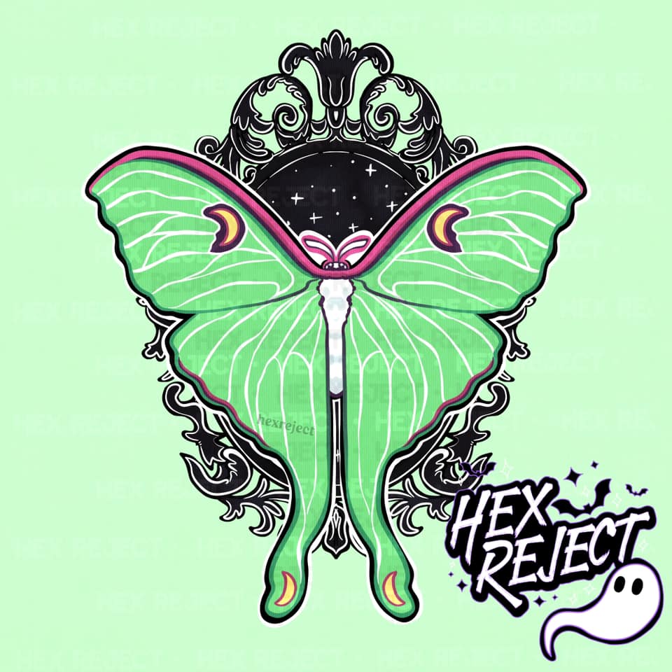 Framed Moths - Sub File