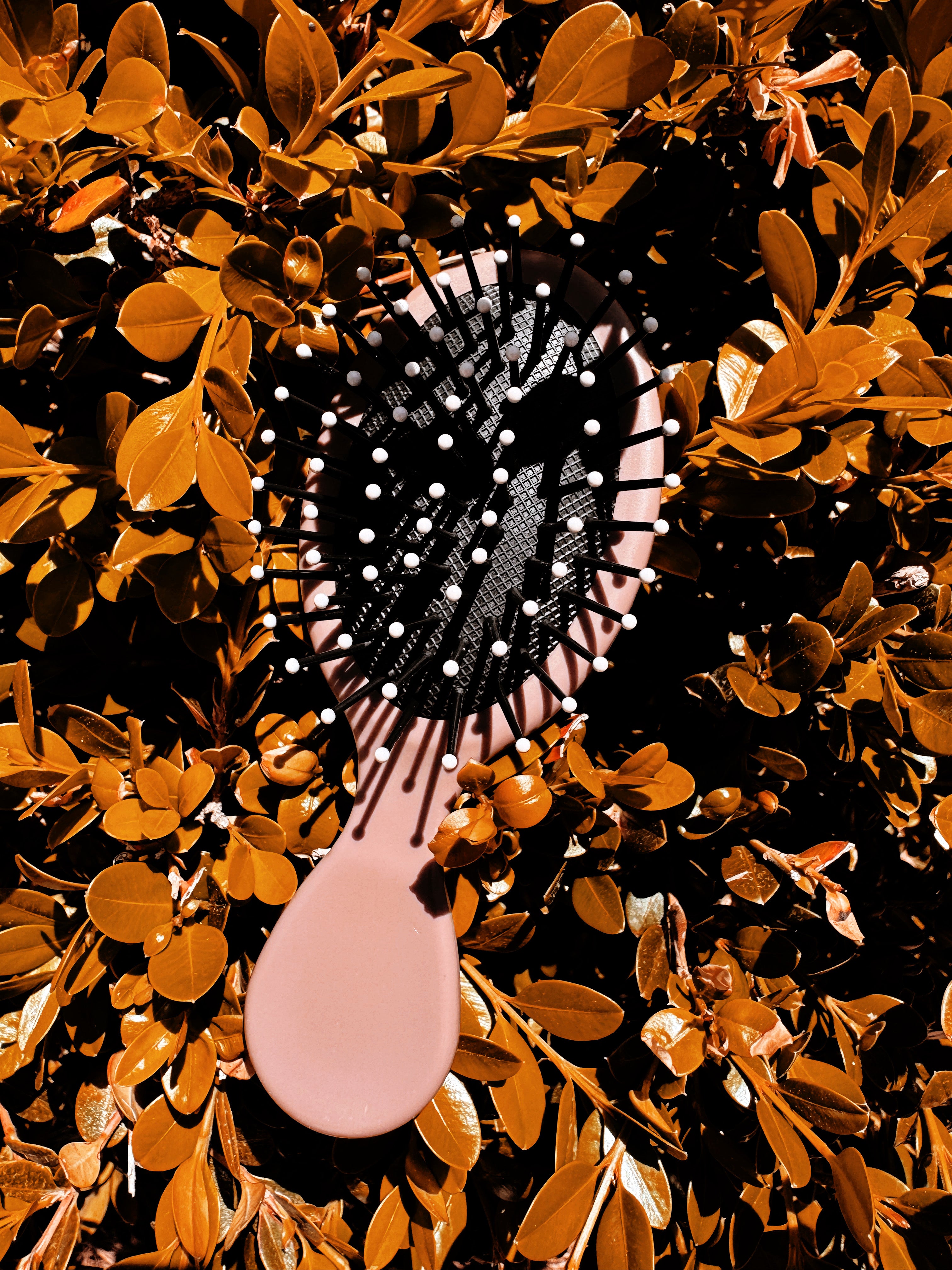 3D Raised Boodoir Mini Detangling Hairbrush